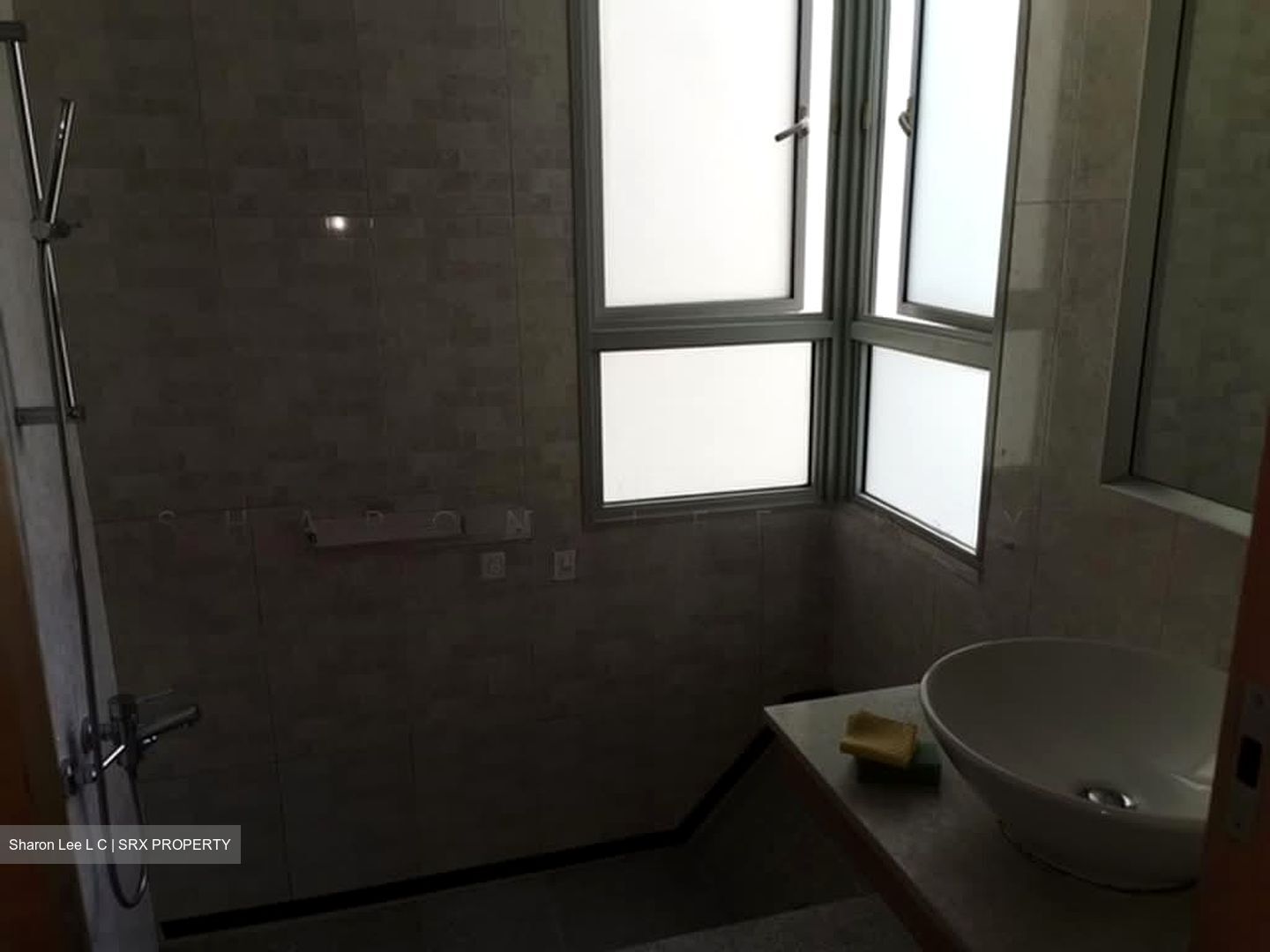 The Lakeshore (D22), Condominium #595279971
